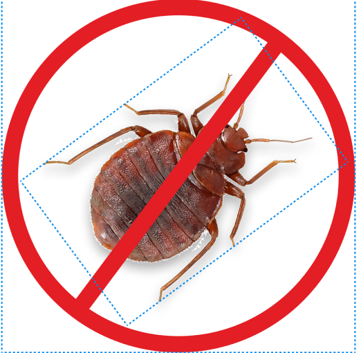 Bed Bugs