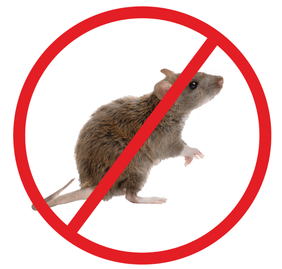 Rodent Control